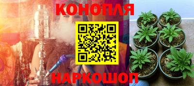 ешки Кимры