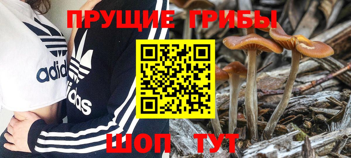Галлюциногенные грибы мицелий  Вход с VPN  Изобильный 